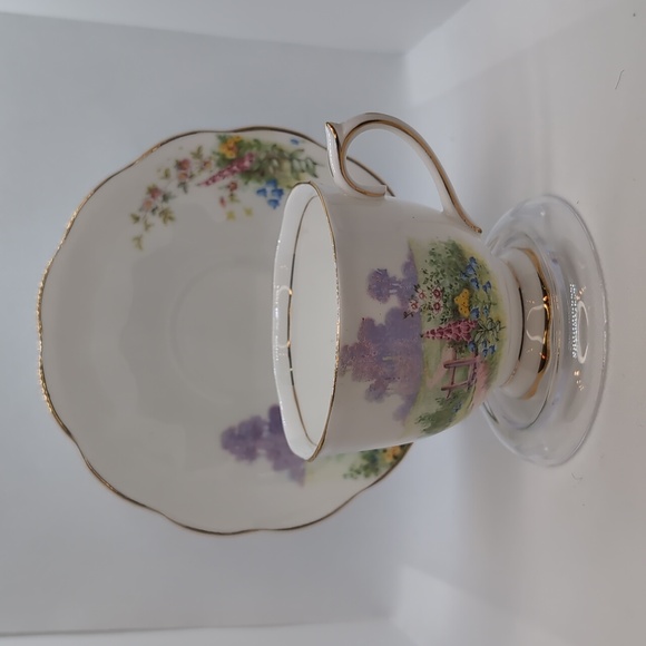 Royal Albert Tea Cup and Saucer - Picture 1 of 8